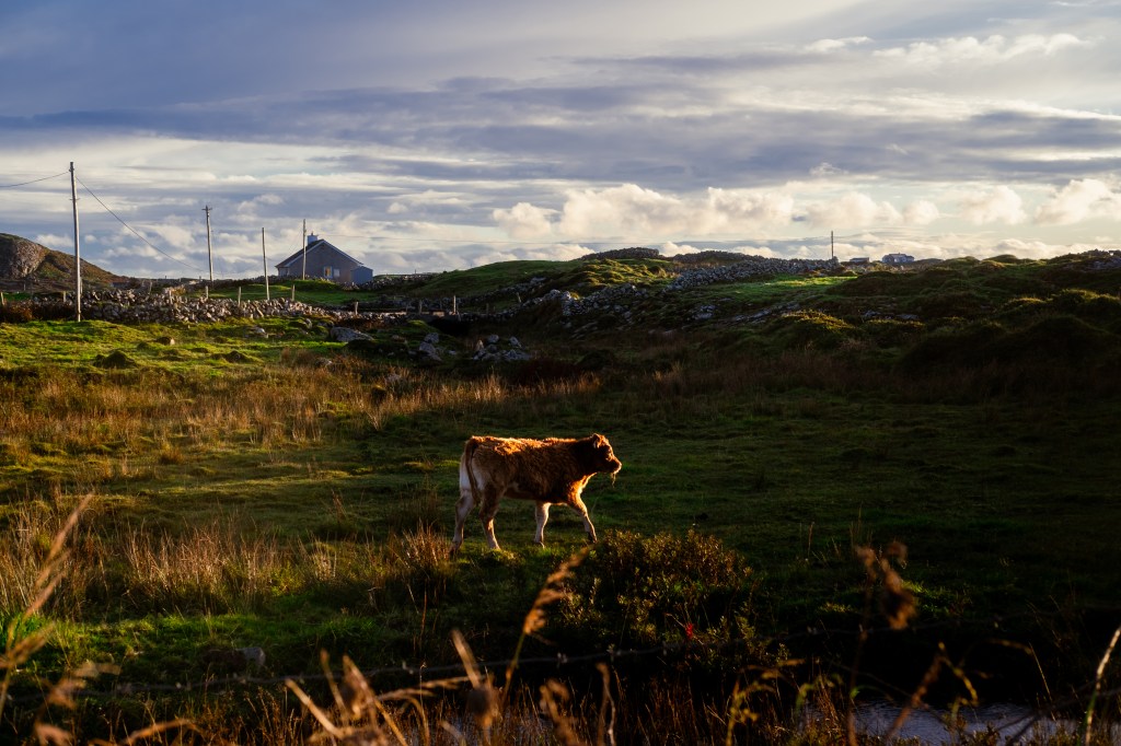 les relations presse, c&rsquo;est quoi&nbsp;?